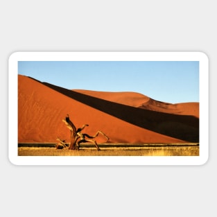 Dunes, Dead Tree & Dry Tsauchab River Valley, Namibia Sticker